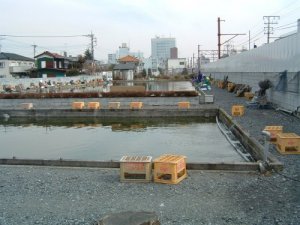 釣り堀の風景